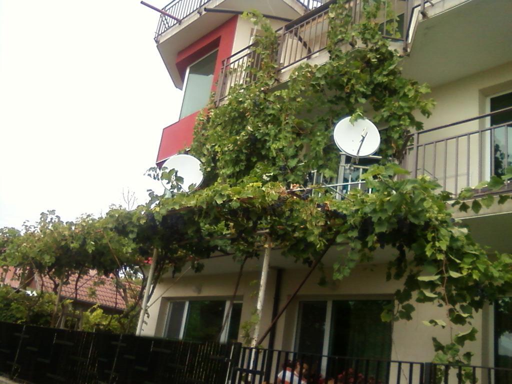 Villa Sunny Hill Fish Fish Ngoại thất bức ảnh